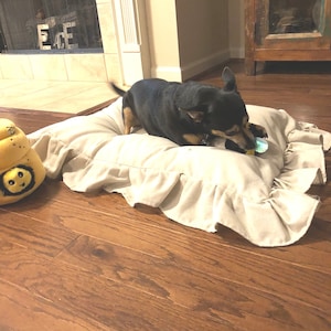 May include: A small black and tan dog is lying on a beige ruffled dog bed, chewing on a toy. A yellow plush bee toy is to the left of the bed. The dog bed is on a hardwood floor.