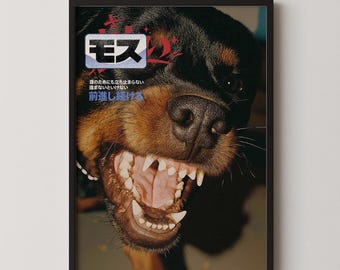 Rottweiler Snarl Poster: Japanese Katakana Keep Moving Art, Snarling Dog Close Up Print, Bold Animal Decor, Motivational Bedroom or Lounge