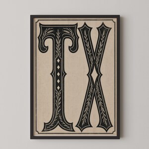 May include: A framed wall art print featuring the letters TX in a bold, black, decorative serif typeface. The letters are filled with intricate, symmetrical leaf patterns and diamond shapes, set against a light beige background with a thin border.