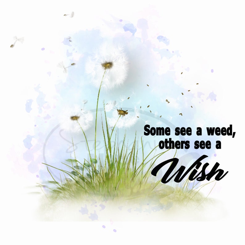 Some See a Weed others see a WishDandelion image 0