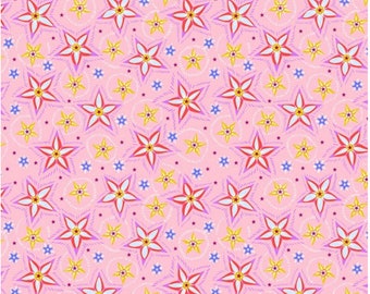 Anna Maria Horner Welcome Home Little Nashville Primavera Tela cortada a medida