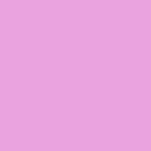 Tula Pink Free Spirit Designer Solids Sweet Cotton Fabric By The Yard