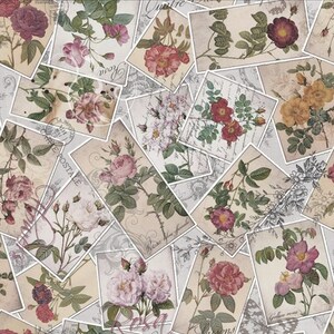 Stof of France La Concorde Flowers Beige Cotton Quilting Fabric By The Yard