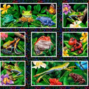 May include: A collage of colorful frogs in various poses, surrounded by lush green foliage and vibrant flowers. The frogs are depicted in a variety of colors, including green, red, blue, and yellow. The background features a dark green and black pattern.