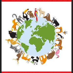 May include: A colorful illustration of a world map surrounded by various animals, including a zebra, a tiger, a panda, a giraffe, and a monkey. The animals are arranged in a circle around the globe, creating a whimsical and educational design.