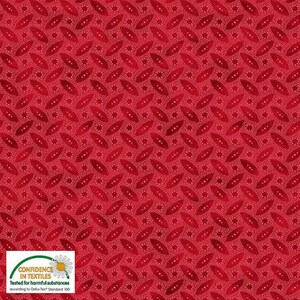 Stof Fillippa&#39;s Line Oblong Round Dots Red Cotton Fabric op maat gesneden