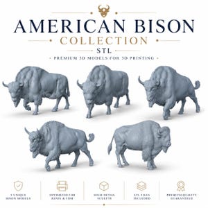 Op de afbeelding: Vijf grijze 3D-modellen van Amerikaanse bizons in verschillende houdingen. De tekst luidt AMERICAN BISON COLLECTION STL PREMIUM 3D MODELS FOR 3D PRINTING. Iconen tonen 5 unieke bizonmodellen, geoptimaliseerd voor resin en FDM, hoge details, STL-bestanden.