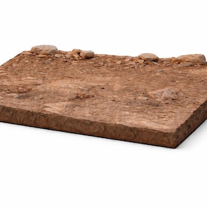 May include: A rectangular, cross-sectioned piece of earth, showcasing layers of soil and rock. The surface is primarily brown with small rocks and pebbles scattered across it. The edges reveal the different layers of the soil.