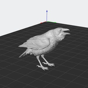 Puede incluir: Modelo 3D gris de un cuervo con el pico abierto, sobre una cuadrícula gris oscuro. Se ven las plumas y los detalles del ave. Un eje azul, rojo y verde está en el fondo.
