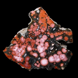Puede incluir: Un espécimen mineral pulido que presenta una matriz negra oscura incrustada con numerosas inclusiones circulares en forma de orbes en tonos naranja vibrante, coral y rosa suave. La piedra tiene un perímetro irregular y una superficie lisa.