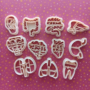 May include: A set of 12 white plastic cookie cutters shaped like different human organs, including the brain, heart, lungs, kidneys, intestines, stomach, and teeth.
