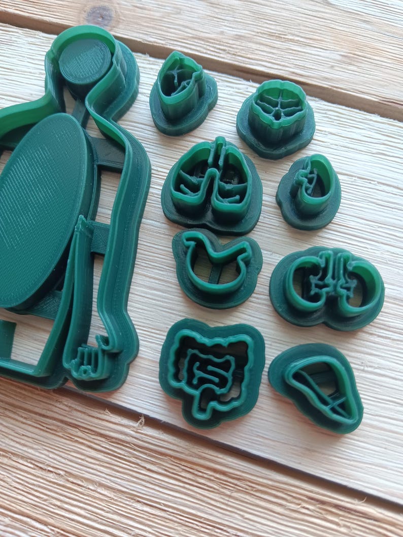 Human Cutter Shape Human Body With Internal Organs - Polymer Clay Cutter Tool - Multiple ...