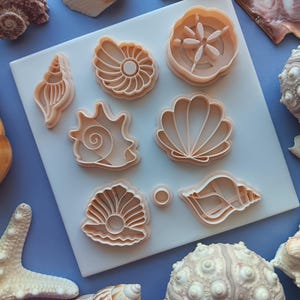 Sea shell polymer clay cutter - Summer time sea life - Clam conch spiral sand dollar