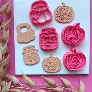May include: A collection of pink plastic cookie cutters and their corresponding tan clay impressions. The set includes shapes of pumpkins, jars, and leaves, featuring intricate embossed details like mushrooms, acorns, and foliage patterns.