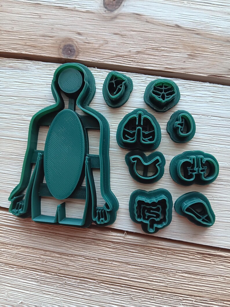 Human Cutter Shape Human Body With Internal Organs - Polymer Clay Cutter Tool - Multiple ...
