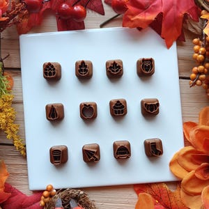 May include: A collection of brown, square-shaped cookie cutters with various autumn-themed designs, including leaves, an owl, an apple, a cupcake, a pumpkin, a coffee cup, an umbrella, a hat, and a sock. The cutters are arranged on a white rectangular plate.