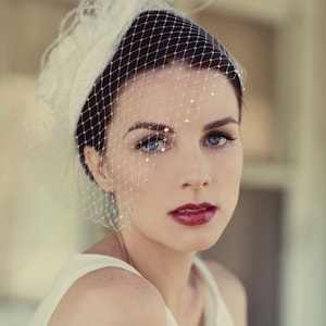 Victorian Wedding Veil, Ivory Birdcage Blusher with Crystal, Feather Fascinator, Bridal Headpiece, Silk Flower, Bridal Hat, Pick your Colors