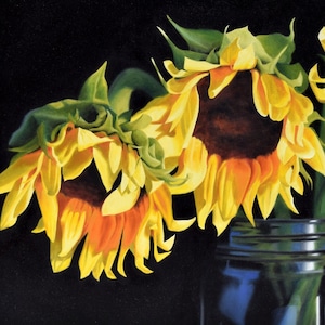 May include: Three sunflowers with yellow petals and dark brown centers are arranged in a clear glass jar with a silver lid. The sunflowers are against a black background.
