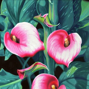 May include: A painting of three pink calla lilies with green leaves against a black background. The artist's signature, "Nance Danforth", is in the bottom right corner.