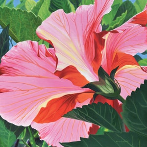 DANFORTH Hibiscus, 30x30 original realistic floral oil painting, canvas painting, flower painting, garden still life, hibiscus painting