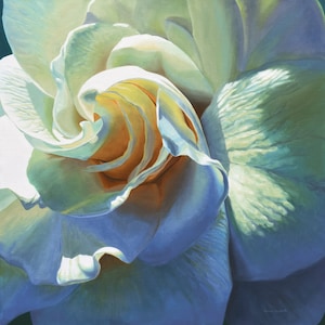 May include: A close-up of a white flower with a soft, delicate texture. The petals are curled inward, revealing a yellow center. The flower is illuminated by a soft, warm light, creating a sense of peace and tranquility.