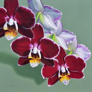 DANFORTH Orchids, 30x30 original realistic floral oil painting, canvas painting, flower painting, garden still life, large statement art
