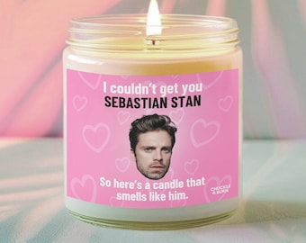 9oz glas ruikt naar Sebastian Stan Candle | Sebastian Stan-fancadeau, cadeaus beste vriend, door fans geïnspireerde kaars - SNELLE VERZENDING!