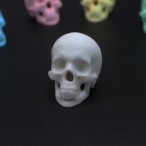 Könnte beinhalten: Ein weißer Plastik-Schädel mit detailliertem Gesicht, vor einem schwarzen Hintergrund.