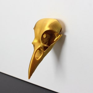 Könnte beinhalten: Eine goldfarbene Vogelschädelskulptur. Der Schädel ist detailliert und realistisch, mit einem spitzen Schnabel und hohlen Augenhöhlen.