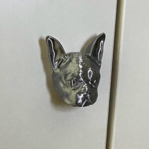 Pode incluir: Um puxador de armário prateado em forma de cabeça de buldogue francês. O puxador está montado numa porta de armário de cor clara. As características do cão são detalhadas, com orelhas proeminentes e uma superfície texturizada.