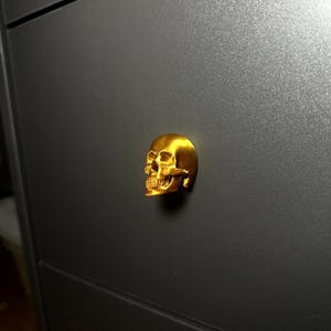 Könnte beinhalten: Ein goldfarbener, schädelförmiger Schubladenknauf. Der Schädel ist detailliert mit einem markanten Kiefer und Zähnen.