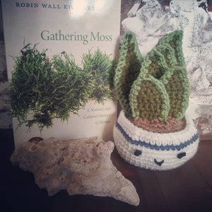 Artefacet&#39;s Handmade Knot Monsters Amigurumi Potted Plants