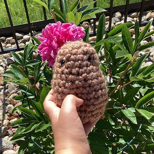 Crochet Positive Potato Amigurumi Handmade Stuffed Plushie