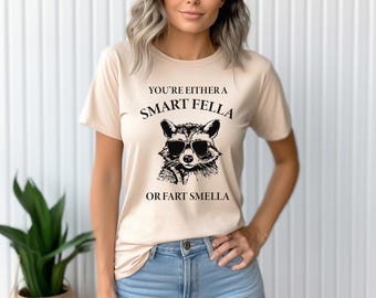 You're Either A Smart Fella Or A Fart Smella Retro Tee, Sarcastic Sweatshirt, Funny Hoodie, Weird Meme Shirt,Trash Racoon Shirt,Cute Raccoon