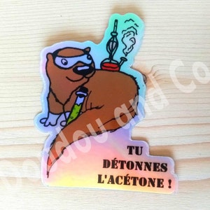 Stickers mignons de loutre collection "Tu gères la fougère" #motivation