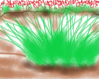 Grass