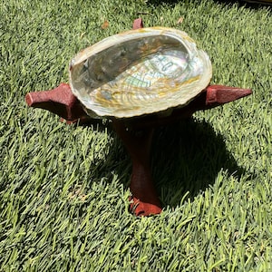 May include: A wooden stand with four legs holds a large abalone shell. The shell is iridescent with shades of green, gold, and white. The stand and shell are on a green artificial grass surface.