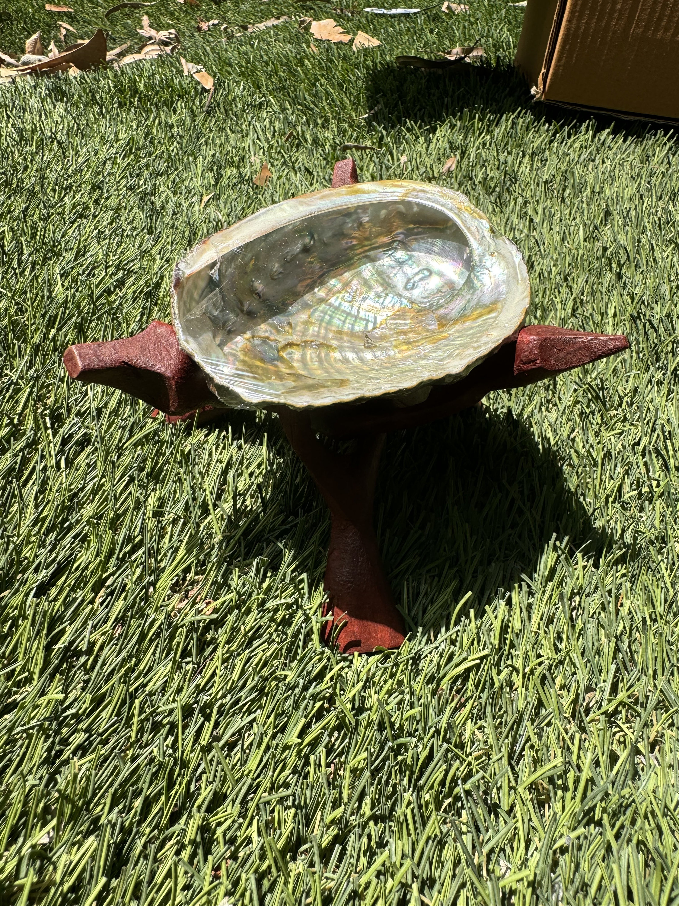 Natural Abalone Shell Smudge Bowl 5” inch-Smudging Practice, Wholesale, Multiple Sizes, Free Shipping, Cleansing Rituals, Sage Smudge Sticks