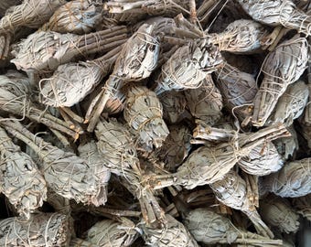 ENVÍO GRATIS ORGÁNICO Venta al por mayor Varillas para savia de antorcha, 1.5-2 pulgadas de diámetro, 4 pulgadas de largo, Paquete de salvia a granel Paquete de salvia de antorcha blanca