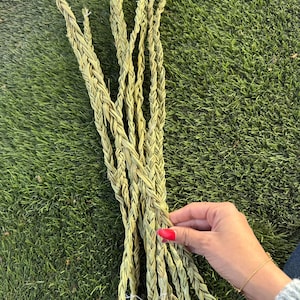 Trecce di erba dolce/all&#39;ingrosso/alternativa alla salvia bianca/fasci di salvia da 20&quot;/bastoncini di macchia alla rinfusa/salvia per la pulizia/fatto a mano/confezionato a mano/altare