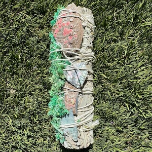 Abalone Smudge White Sage Bundles 6” inch white sage Smudge Sticks Bulk, Organic White Sage with green sinuata, Sage for Cleansing, Handmade