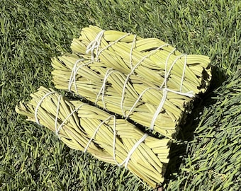 Sweetgrass Braids thick| Wholesale| White Sage Alternative| Sage Bundles 4&quot;| Smudge Sticks Bulk| Sage for cleansing| hand wrapped| Altar