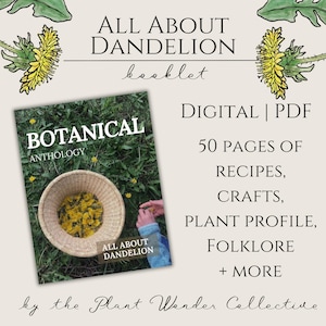 All About Dandelion Booklet | PDF digital download | herbalism gardening recipe magazine | cottagecore botanical plant lover book