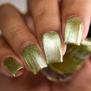 Best Fronds Magnetic Nail Polish by KBShimmer