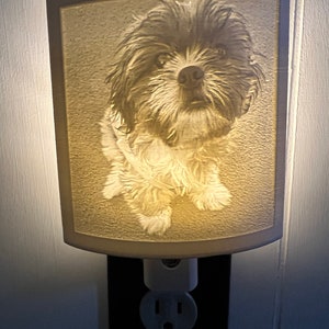 May include: A white ceramic night light with a picture of a dog on the front. The night light plugs into a standard electrical outlet.