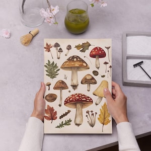 Autumn Mushrooms Printable Wall Art, Vintage Botanical Mushroom Print, Woodland Cottagecore Decor, Instant Download