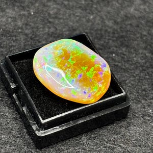 May include: A vibrant, multi-colored opal gemstone with a light orange base and flashes of green, blue, and purple. The opal is set in a black velvet box.