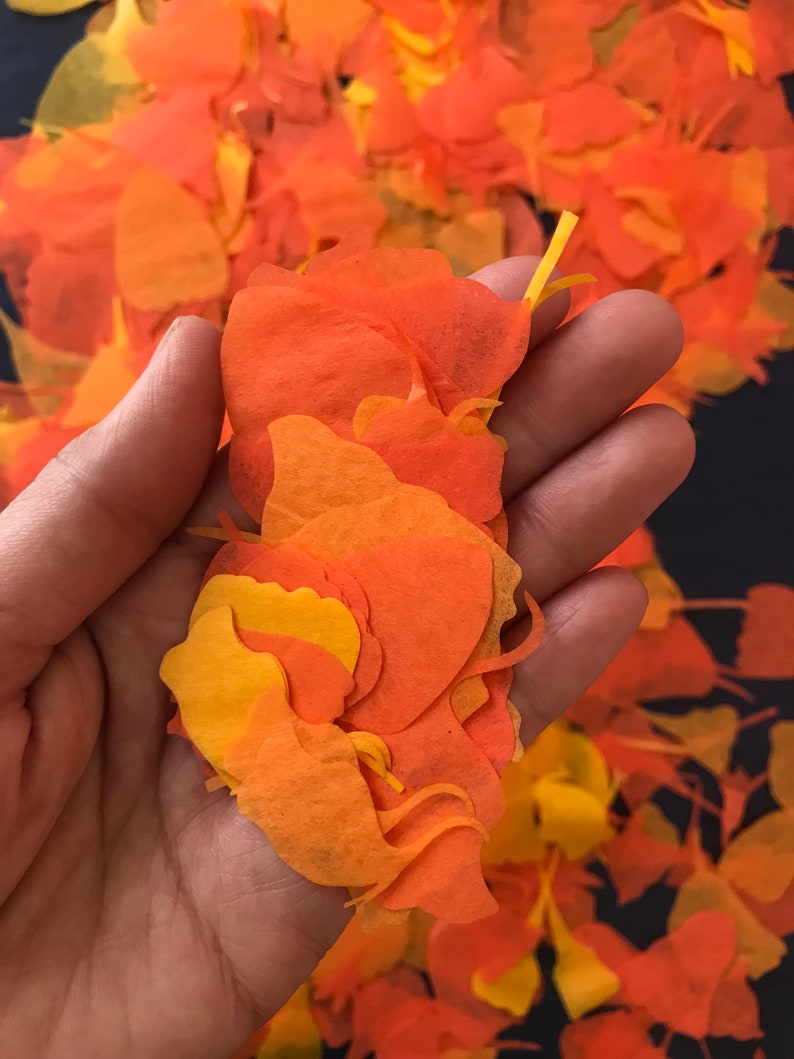 Marigold Cempasuchitl Flower Petal Confetti Dia de Muertos Day of the Dead zdjęcie 2