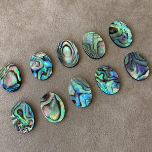 May include: Ten oval-shaped abalone shells with iridescent blue, green, and purple hues. The shells are arranged on a neutral gray surface, showcasing their natural patterns and textures. These shells are ideal for jewelry making or craft projects.