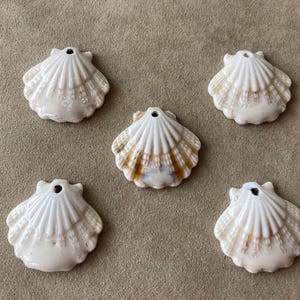 Keramische schulpkraal, 28,5 x 30 x 6 mm, per stuk verkocht